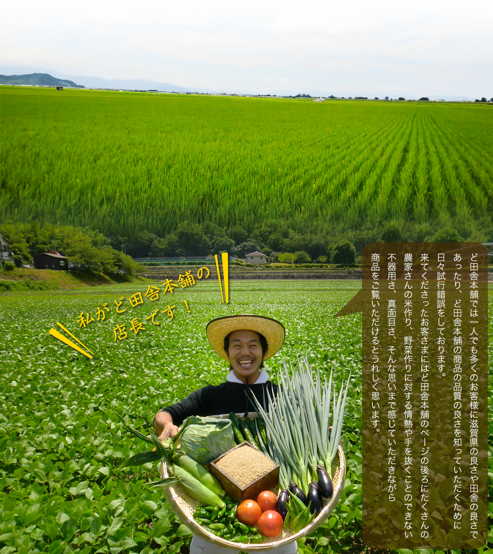 お米作りに最適な環境で作られる近江米