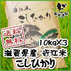 ☆新米☆　【送料無料】　令和6年　滋賀県産　近江米　こしひかり　10kg×3袋