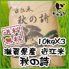 【送料無料】 令和6年　滋賀県産　近江米　秋の詩　10kg×3袋