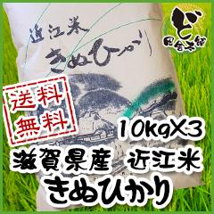 【送料無料】 令和6年　滋賀県産　近江米　きぬひかり　10kg×3袋