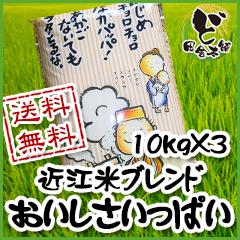 【送料無料】　近江米ブレンド　おいしさいっぱい　10kg×3袋