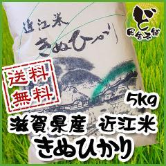 【送料無料】 令和6年　滋賀県産　近江米　きぬひかり　5kg