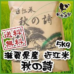 【送料無料】 令和6年　滋賀県産　近江米　秋の詩　5kg