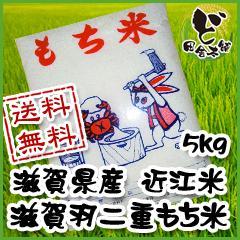 ☆新米☆　【送料無料】 令和6年　滋賀県産　滋賀羽二重もち　5kg