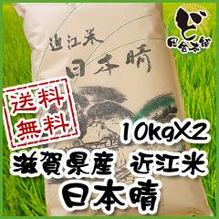 【送料無料】 令和6年　滋賀県産　近江米　日本晴　10kg×2袋