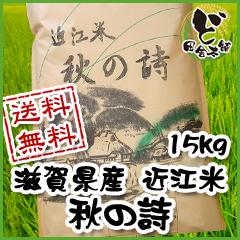 【送料無料】 令6年　滋賀県産　近江米　秋の詩　15kg