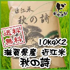 【送料無料】 令和6年　滋賀県産　近江米　秋の詩　10kg×2袋