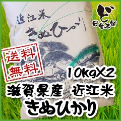 ☆新米☆　【送料無料】 令和6年　滋賀県産　近江米　きぬひかり　10kg×2袋