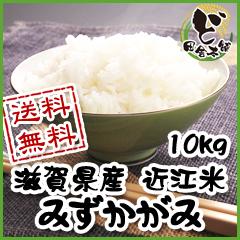 ☆新米☆　【送料無料】　令和6年　滋賀県産　近江米　みずかがみ　10㎏