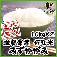 【送料無料】　令和6年　滋賀県産　近江米　みずかがみ　10kg×2袋