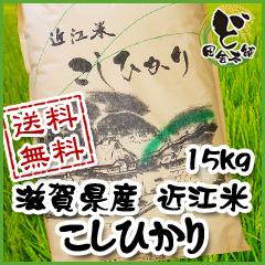 【送料無料】　令和6年　滋賀県産　近江米　こしひかり　15kg