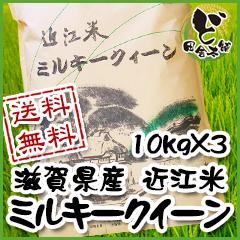 【送料無料】　令和3年　滋賀県産　近江米　ミルキークイーン　10kg×3袋