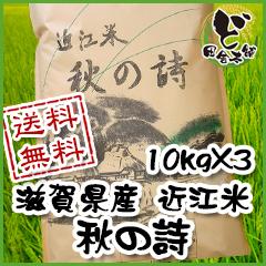 【送料無料】 令和4年　滋賀県産　近江米　秋の詩　10kg×3袋