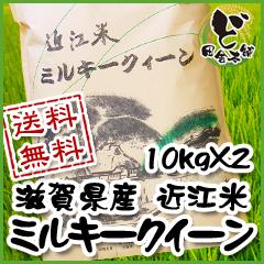 【送料無料】　令和3年　滋賀県産　近江米　ミルキークイーン　10kg×2袋
