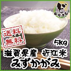 【送料無料】　令和3年　滋賀県産　近江米　みずかがみ　5kg