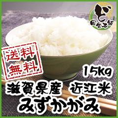 【送料無料】　令和3年　滋賀県産　近江米　みずかがみ　15kg